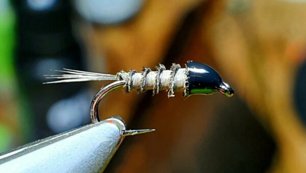 Mouche Carré d'as