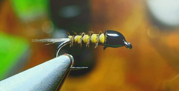 Mouche Carré d'as