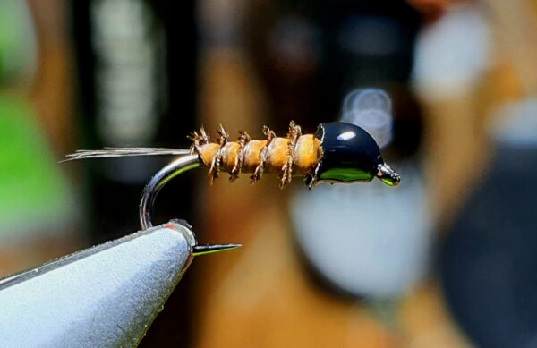 Mouche Carré d'as