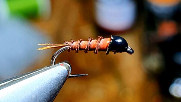 Mouche Carré d'as