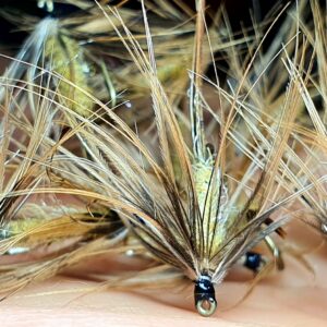 Emergente de Mouche de Mai
