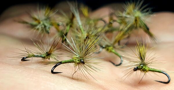 Olive Parachute