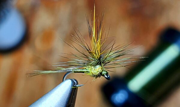 Olive Parachute