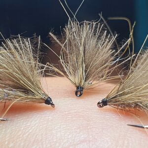 Sedge CDC