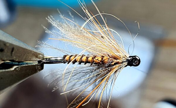 March brown