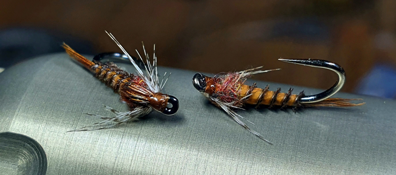 Brown nymph