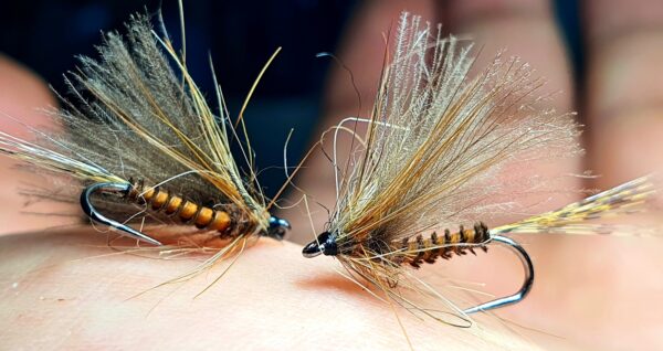 March brown