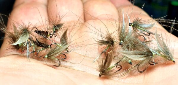 Mouche d'Ornans