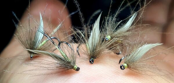 Mouche d'Ornans