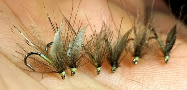 Mouche d'Ornans