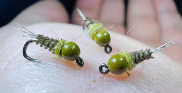 Full olive