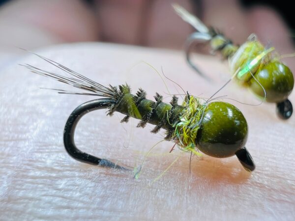 Full olive