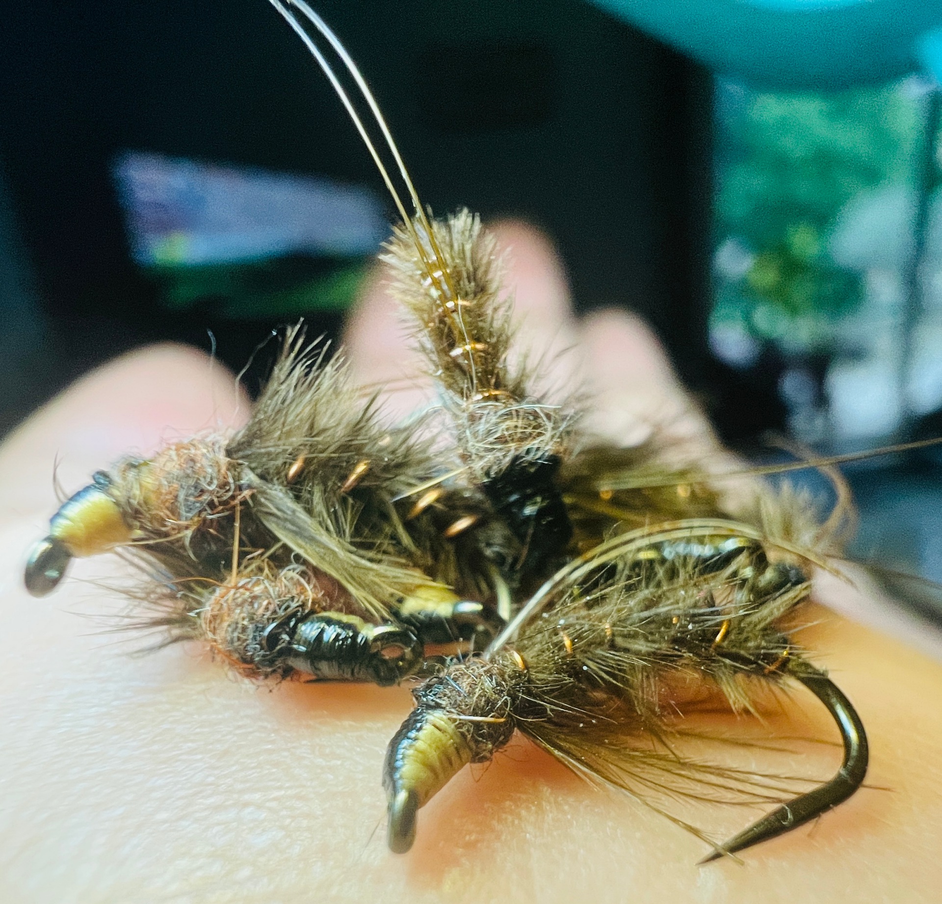 Plusieurs caddis pupa